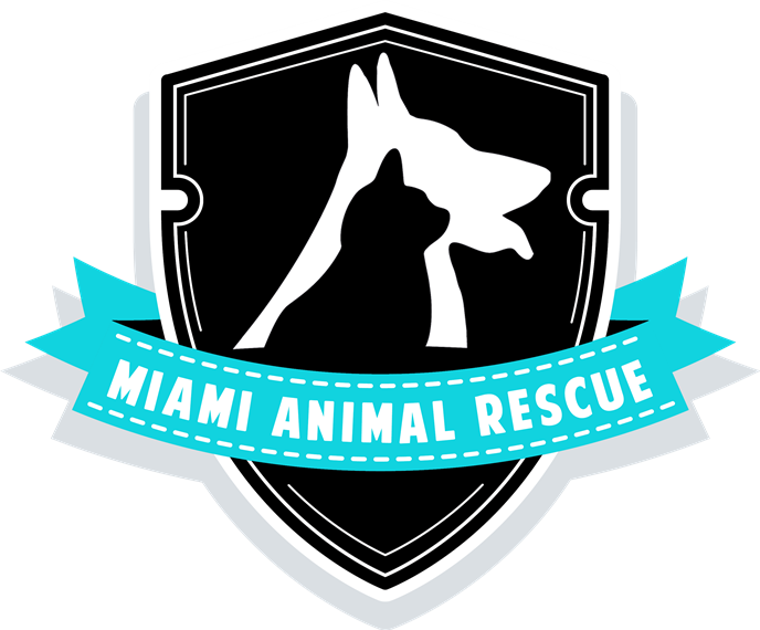 Miami Animal Rescue